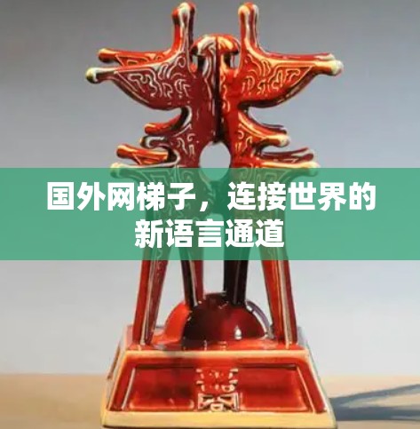 国外网梯子，连接世界的新语言通道