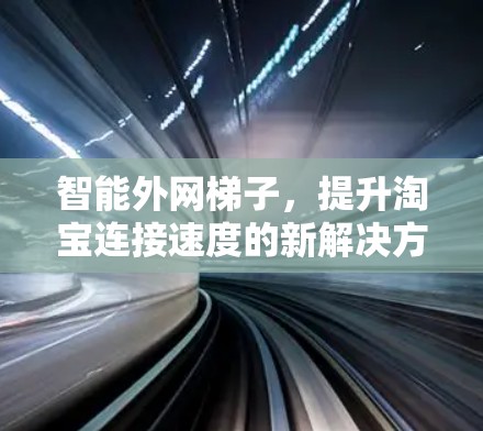 智能外网梯子，提升淘宝连接速度的新解决方案