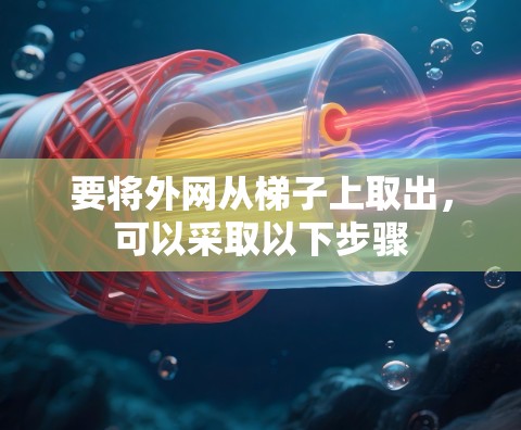 要将外网从梯子上取出，可以采取以下步骤