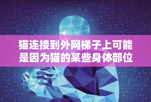 猫连接到外网梯子上可能是因为猫的某些身体部位被占用，如猫脚、猫头或猫狗猫装饰品。解决方法如下