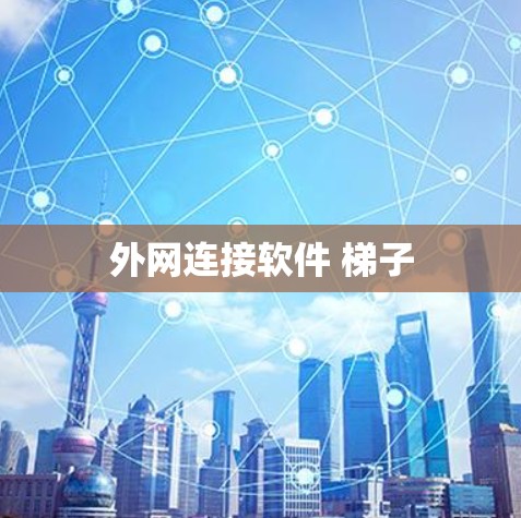 外网连接软件 梯子