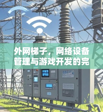 外网梯子，网络设备管理与游戏开发的完美结合
