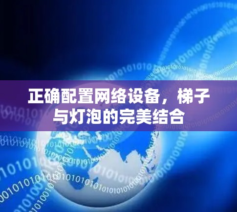 正确配置网络设备，梯子与灯泡的完美结合