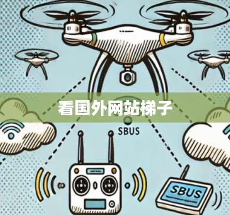 看国外网站梯子