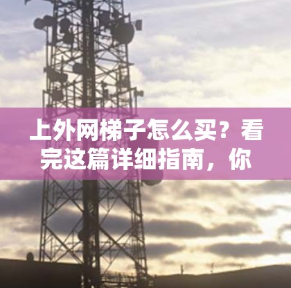 上外网梯子怎么买？看完这篇详细指南，你一定不会想错了