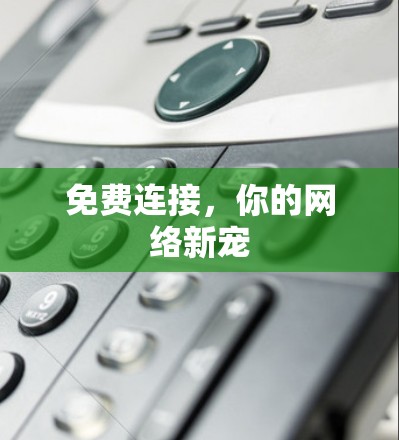 免费连接，你的网络新宠