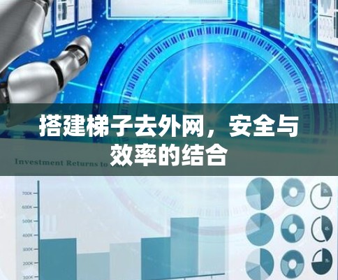 搭建梯子去外网，安全与效率的结合
