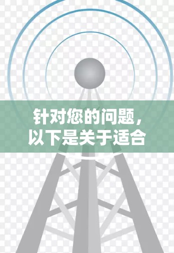 针对您的问题，以下是关于适合的电脑加速器的详细分类和推荐