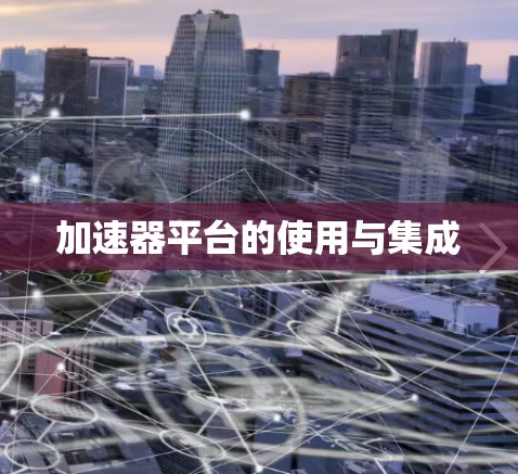 加速器平台的使用与集成