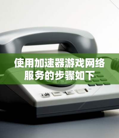 使用加速器游戏网络服务的步骤如下 使用加速器游戏网络服务的步骤如下