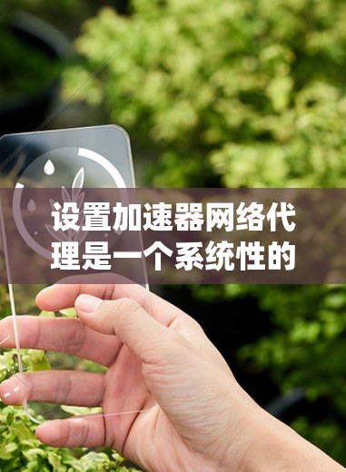 设置加速器网络代理是一个系统性的过程，涉及多个步骤和设置。以下是一个详细的指南，帮助您顺利进行设置