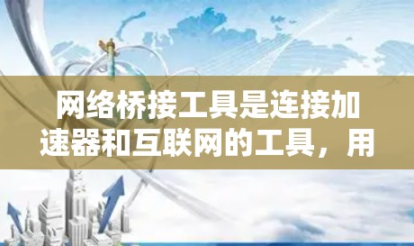 网络桥接工具是连接加速器和互联网的工具，用于处理加速器上的数据和请求，确保数据准确传输和处理。它通常涉及以下关键步骤