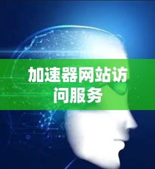 加速器网站访问服务 加速器网站访问服务