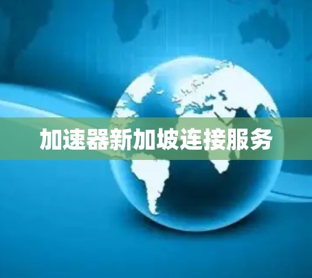 加速器新加坡连接服务