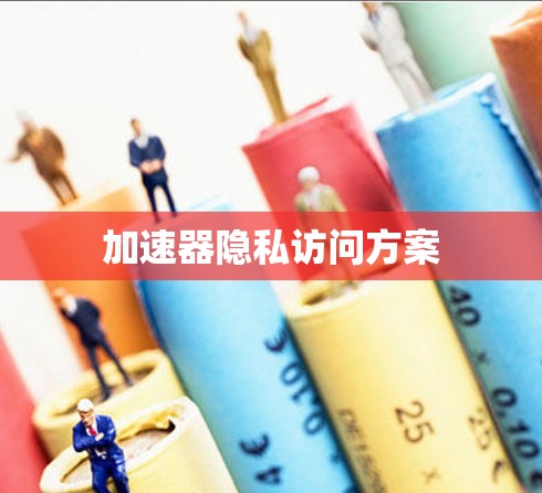 加速器隐私访问方案