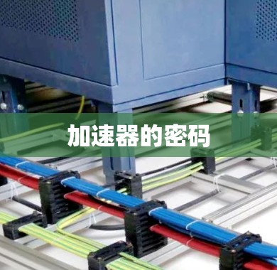 加速器的密码 加速器的密码