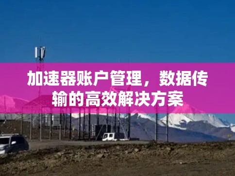 加速器账户管理,数据传输的高效解决方案 加速器账户管理,数据传输的高效解决方案