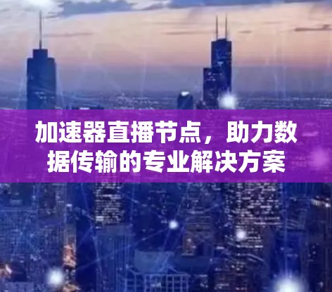 加速器直播节点,助力数据传输的专业解决方案 加速器直播节点,助力数据传输的专业解决方案