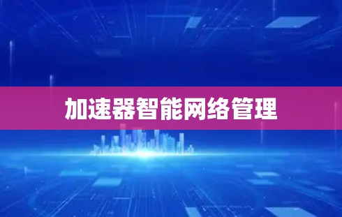 加速器智能网络管理 加速器智能网络管理