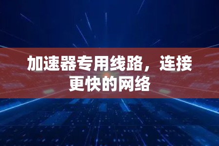 加速器专用线路，连接更快的网络