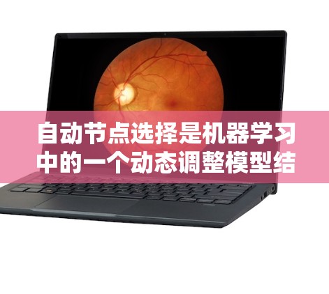 自动节点选择是机器学习中的一个动态调整模型结构的技术，旨在提高训练效率和模型性能。以下是对该技术的详细分析