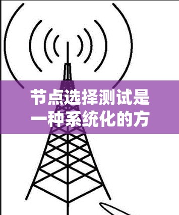 节点选择测试是一种系统化的方法，用于在网络中选择特定节点进行测试，以评估其性能和稳定性。以下是详细的步骤和解释