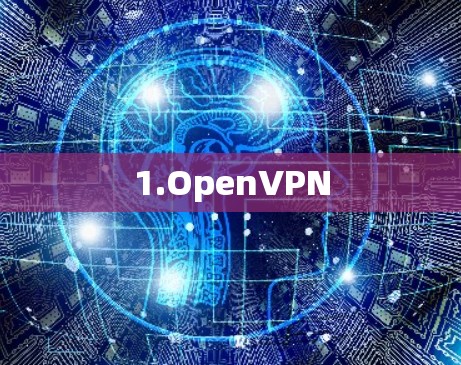 1.OpenVPN 1.OpenVPN