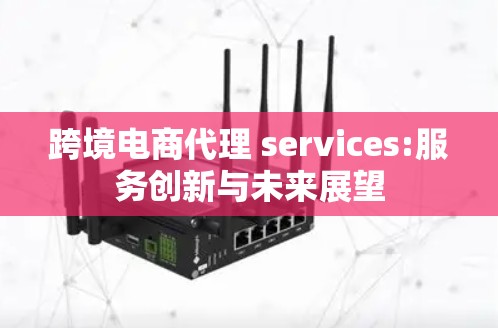 跨境电商代理 services:服务创新与未来展望