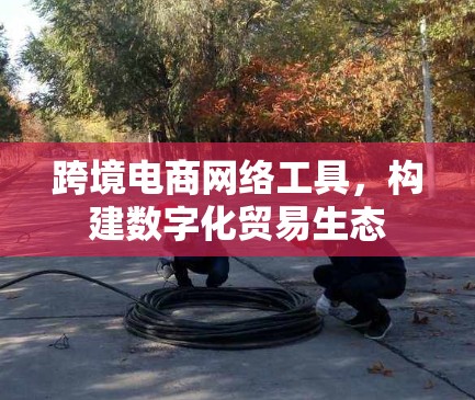 跨境电商网络工具，构建数字化贸易生态