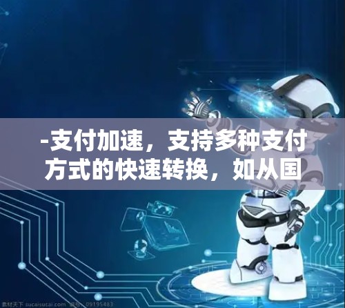 -支付加速，支持多种支付方式的快速转换，如从国内到国际支付