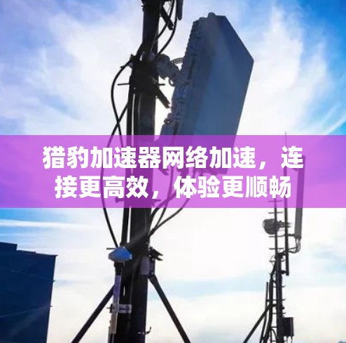猎豹加速器网络加速，连接更高效，体验更顺畅